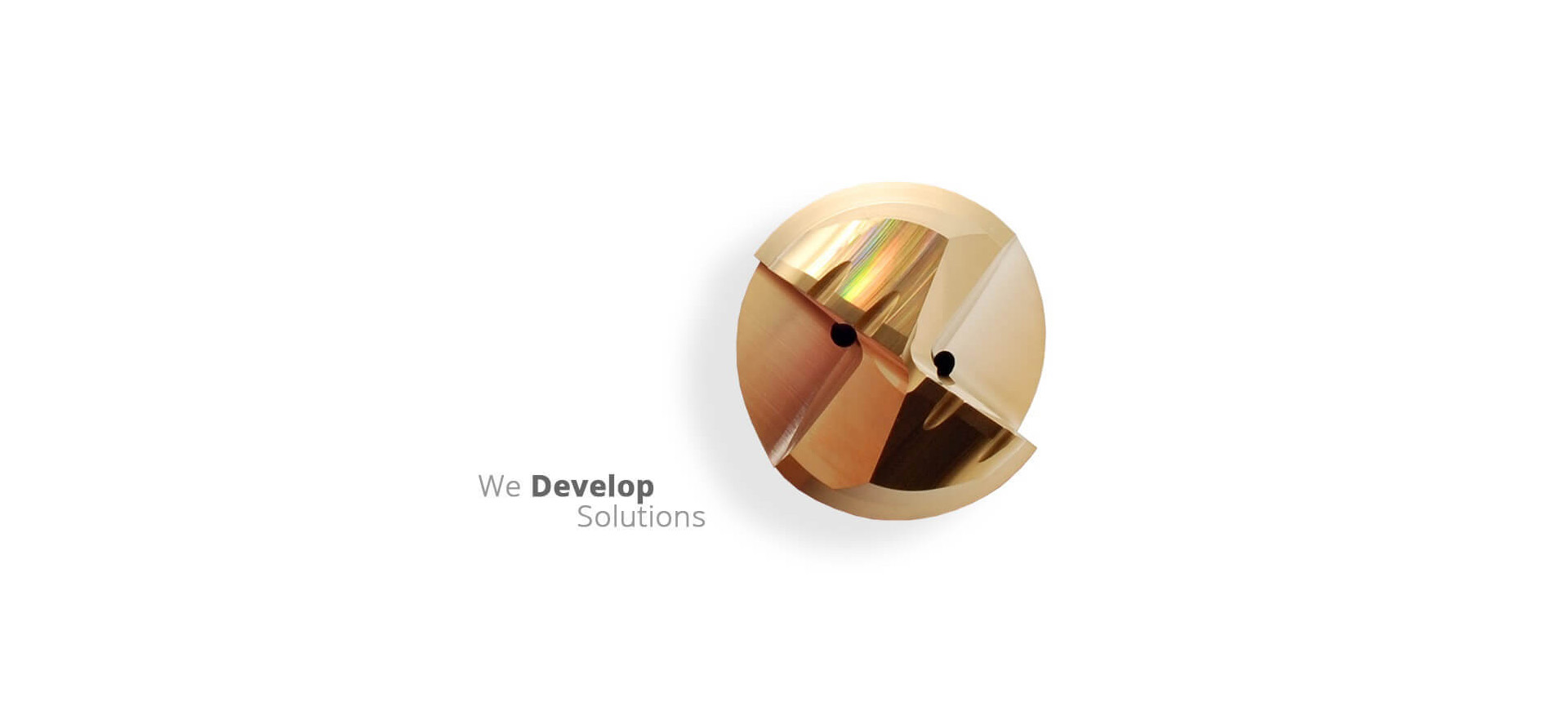 We Develop Solutions